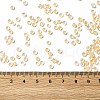 6/0 Transparent Glass Seed Beads SEED-F003-03A-14-4