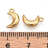 304 Stainless Steel Charms STAS-N109-138G-3