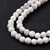 Natural Howlite Beads Strands G-H273-02A-5