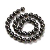 Shell Pearl Bead Strands BSHE-L025-05-12mm-5