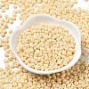 Baking Paint Glass Seed Beads X1-SEED-B001-02A-09-2