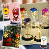 ABS Dome Cover DIY-WH0430-150-6