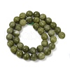 Natural TaiWan Jade Beads Strands G-K310-A23-10mm-01-3