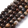Natural Mexico Crazy Agate Beads Strands G-L615-A01-03-3
