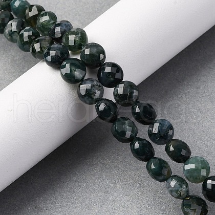 Natural Moss Agate Beads Strands G-C179-A21-03-1