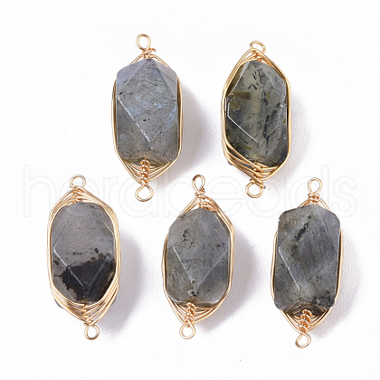 Natural Labradorite Links connectors G-T131-04A-1