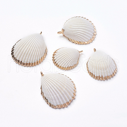 Shell Pendants SHEL-P075-03-1