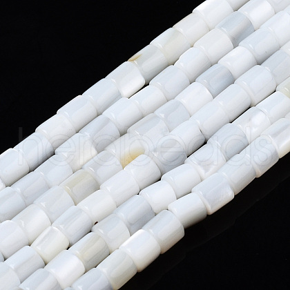 Natural Freshwater Shell Beads Strands SHEL-N034-29A-01-1