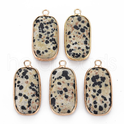 Natural Dalmatian Jasper Pendants G-S359-292C-1