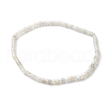 Faceted Rondelle Natural Labradorite Beads Stretch Bracelets BJEW-JB06383-09-1