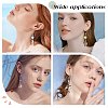 SUNNYCLUE Ocean Fish Pendant Earring DIY Making Kits DIY-SC0017-85-6
