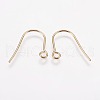 304 Stainless Steel Earring Hooks STAS-F142-01G-2