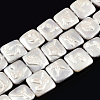 Plating Natural Freshwater Shell Beads Strands SHEL-N026-230B-1