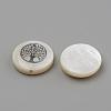 Natural Freshwater Shell Beads SHEL-Q011-006P-2