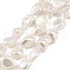 Shell Pearl Beads Strands X1-BSHE-C008-01-1