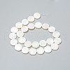 Natural Freshwater Shell Beads X-BSHE-I011-01B-02-2