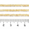 Natural Citrine Beads Strands G-Z074-A03-01-5