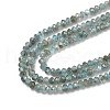 Natural Apatite Beads Strands G-RM250104-D3-4