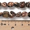 Natural Leopard Skin Jasper Beads Strands G-P497-01E-93-5
