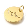 Ion Plating(IP) 304 Stainless Steel Pendants STAS-M074-02A-G-2