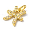 925 Sterling Silver Charms STER-M120-03L-G-2