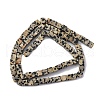 Natural Dalmatian Jasper Beads Strands G-F631-K30-3