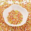 Baking Paint Glass Seed Beads SEED-S042-05B-44-2