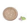 6pcs Resin Imitation Pearl Charms PALLOY-JF03423-2