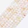 Natural Stripe Agate Beads Strands X-G-F425-19-1