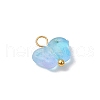 Frosted Acrylic Charms PALLOY-JF03325-02-4