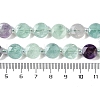 Natural Fluorite Beads Strands G-N342-04-5