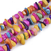 Freshwater Shell Beads Strands SHEL-S276-30-1