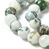 Natural Tree Agate Beads Strands X-G-K194-8mm-02-5
