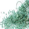 TOHO Round Seed Beads SEED-XTR11-0699-1