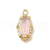 Brass Glass Charms KK-U061-10G-04-1