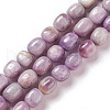 Natural Kunzite Beads Strands G-K331-005D-2