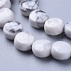 Natural Howlite Beads Strands G-L538-023-2