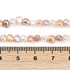 Natural Cultured Freshwater Pearl Beads Strands PEAR-P064-19B-13M-4