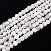 Natural Trochid Shell/Trochus Shell Beads Strands SSHEL-N040-07-1