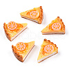 Resin Cabochons CRES-S286-126-1