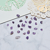 Natural Amethyst Chip Beads G-CJ0001-23-8