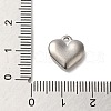 Non-Tarnish 304 Stainless Steel Pendants STAS-R223-02A-3