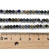 Natural Lapis Lazuli Beads Strands G-RM2025-A21-3mm-5