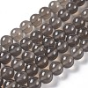 Natural Grey Agate Bead Strands G-R193-12-10mm-1