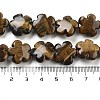 Natural Tiger Eye Beads Strands G-F769-H01-01-5