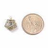 Natural Gemstone Pendants PALLOY-JF01457-01-5