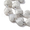 Natural Labradorite Beads Strands G-P570-E18-01-4