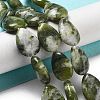 Natural Xinyi Jade/Chinese Southern Jade Beads Strands G-P528-L01-02-1