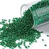 TOHO Round Seed Beads X-SEED-TR15-0036-1