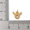 304 Stainless Steel Charms STAS-R001-04G-02-3